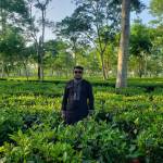 ahmed saim Profile Picture