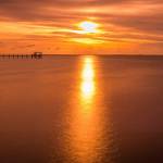 Hanif Profile Picture