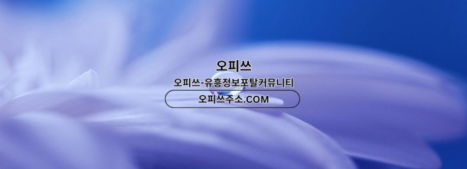 포항건마 오피사이트NET 포항마사지 Cover Image