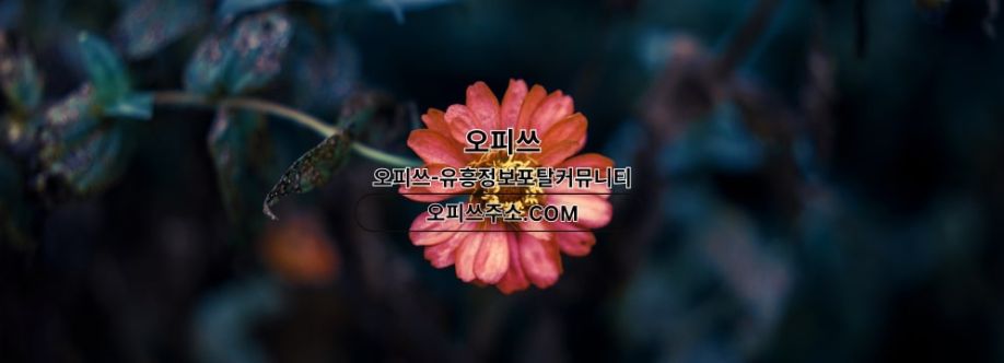 안산건마 오피사이트NET 안산마사지 Cover Image