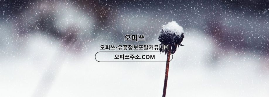 제주건마 오피쓰COM 제주마사지 Cover Image