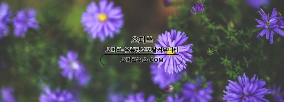 역삼건마 오피사이트NET 역삼마사지 Cover Image