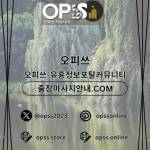 해운대오피 오피쓰COM 해운대OP Profile Picture