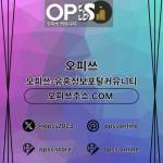안산오피 출장마사지안내COM 안산OP Profile Picture