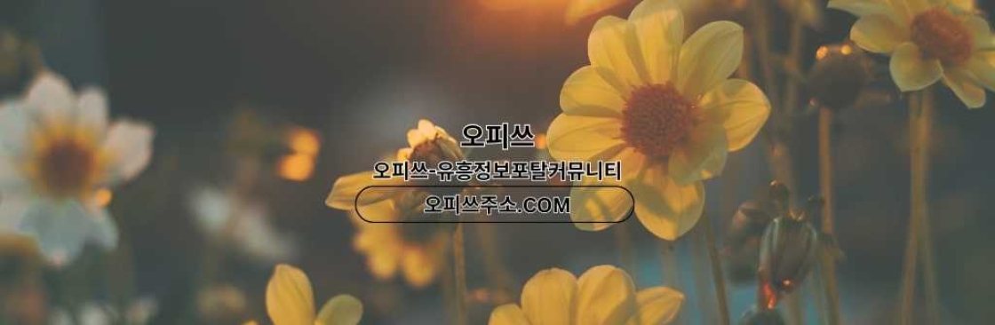 강동1인샵 출장마사지안내COM 강동 1인샵 Cover Image