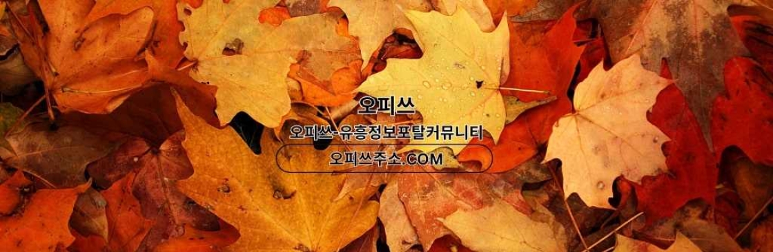 제주스웨디시 오피쓰주소COM 제주 스웨디시 Cover Image