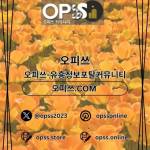 서초출장샵 오피사이트NET 서초출장마사지 Profile Picture
