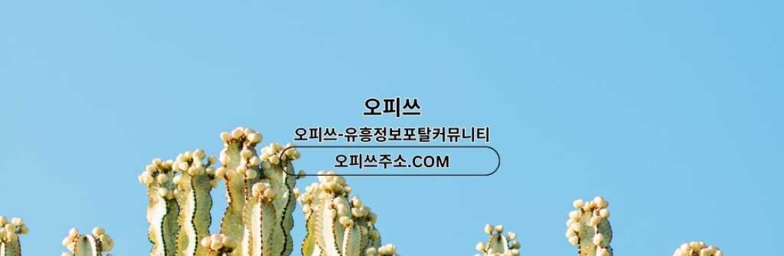 대구1인샵 출장안마사이트COM 대구 1인샵 Cover Image