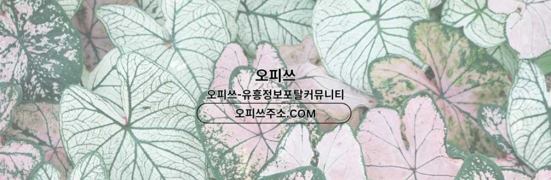 강남1인샵 오피쓰COM 강남 1인샵 Cover Image