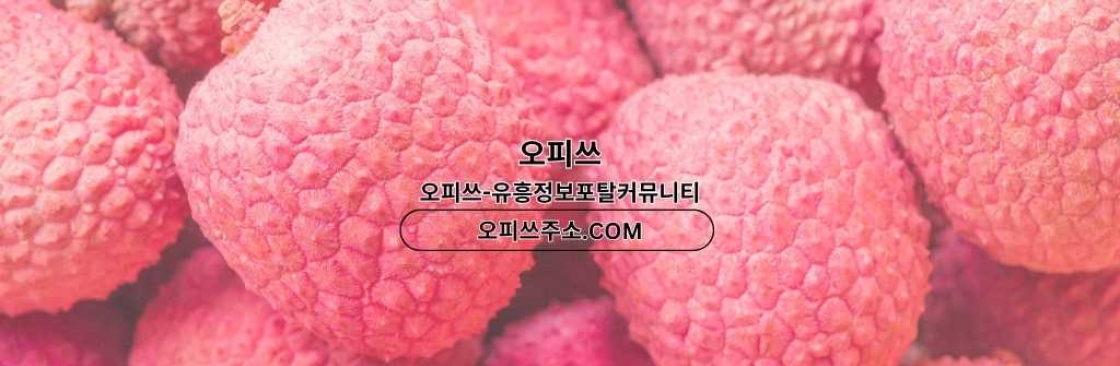 포항1인샵 오피사이트NET 포항 1인샵 Cover Image