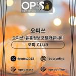 일산1인샵 오피사이트NET 일산 1인샵 profile picture