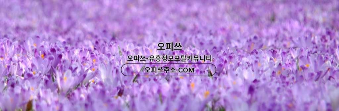 목포1인샵 오피사이트NET 목포 1인샵 Cover Image