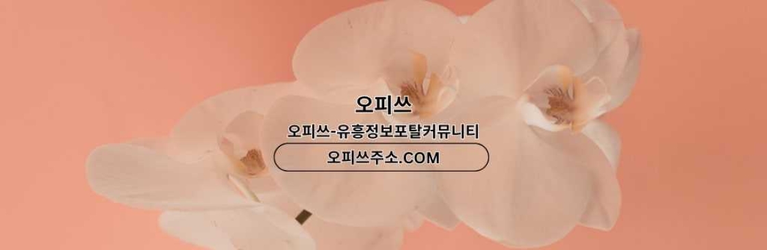 부천1인샵 오피쓰주소COM 부천 1인샵 Cover Image