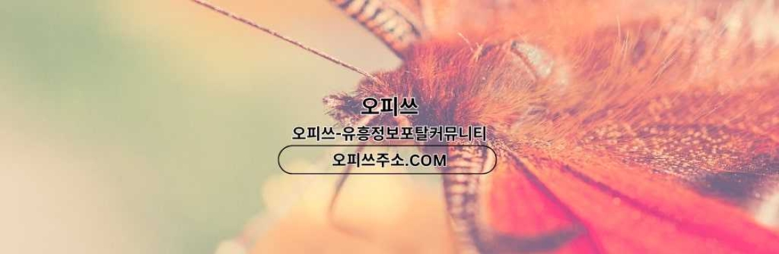 가락스웨디시 출장마사지안내COM 가락 스웨디시 Cover Image