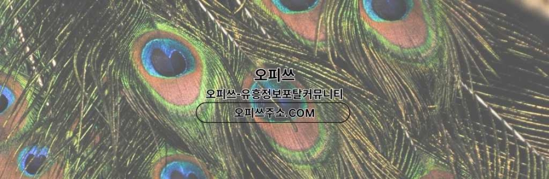 동두천1인샵 오피쓰COM 동두천 1인샵 Cover Image