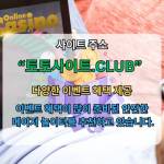 사설홀덤 토토사이트CLUB 사설 홀덤 Profile Picture