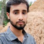 MD MOSTAFA ALI SEAK Profile Picture