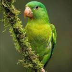 Md Jahid Hasan Profile Picture