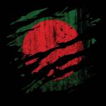 kaiyum hossain Profile Picture