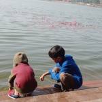 A S M Zabed Profile Picture