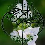 Islam Torik Profile Picture
