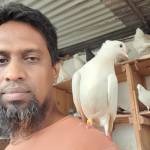 Md. Masudul Hasan Profile Picture