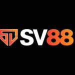 SV88 Profile Picture