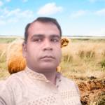 Md Waziullah Profile Picture