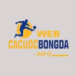Web Cá Cược Bóng Đá Profile Picture