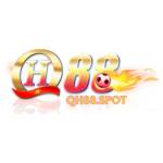 QH88 Profile Picture