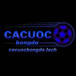 Cá Cược Bóng Đá Profile Picture