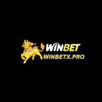 Winbet Profile Picture