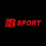 bsport immo Profile Picture