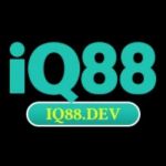 iq88 dev Profile Picture