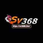 sv3688live Profile Picture