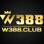 W388 Profile Picture