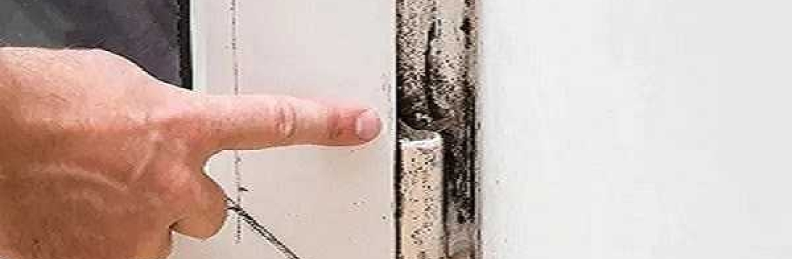 Mould Doctors Cover Image