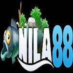 Nila88 Profile Picture