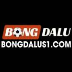 bong dalu Profile Picture