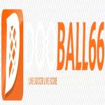 dooball66 bet Profile Picture