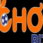 Okchoi biz Profile Picture