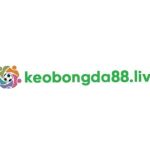 Keobongda Profile Picture