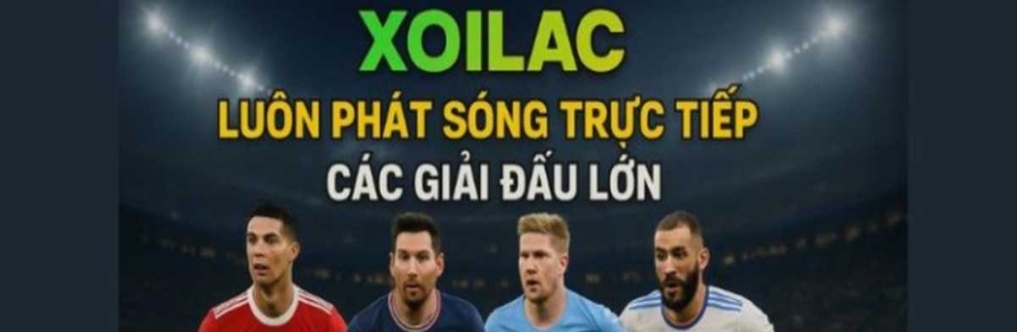 maniffesto com thao túng kết quả Cover Image