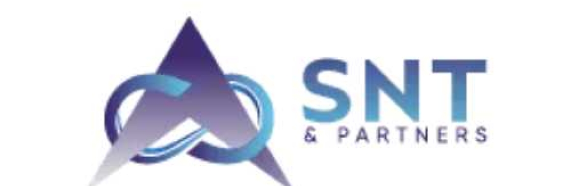 SNT Partners Cover Image
