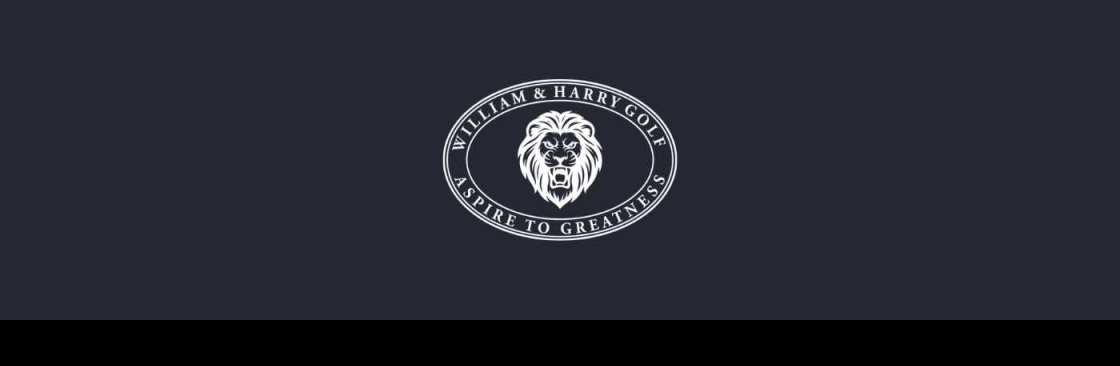 WILLIAM AND HARRY HOLDINGS INC Cover Image