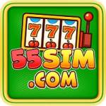 55sim Profile Picture