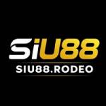 SIU88 Profile Picture