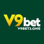 V9BET Profile Picture