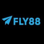 fly88autos Profile Picture
