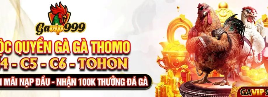 Gavip9999 Com Cover Image